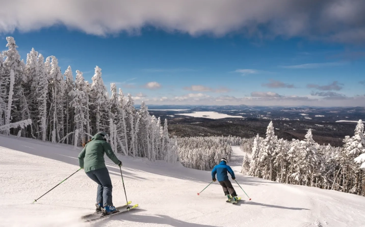 skier visits ranking skier visits ranking