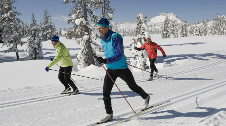 difference between ski touring and cross country skiing