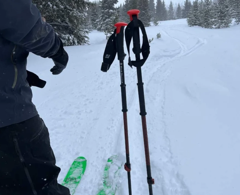 best ski pole length best ski pole length