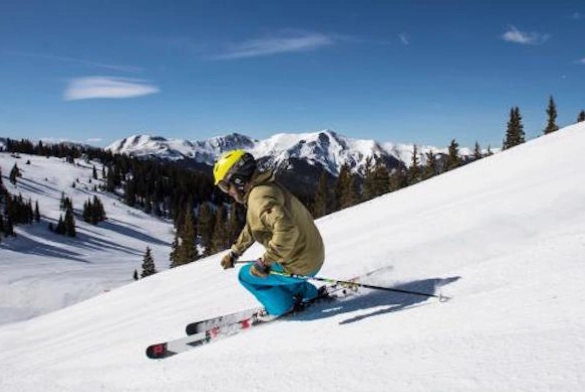 ski carving technique ski carving technique