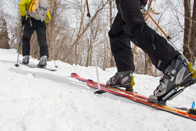 point of telemark skiing