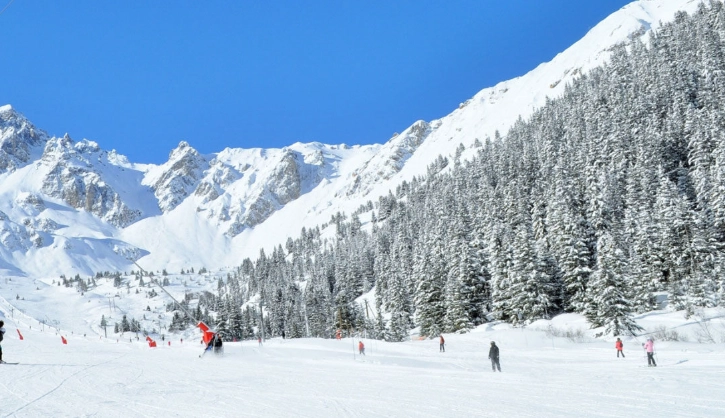 Snow plough turns to parallel