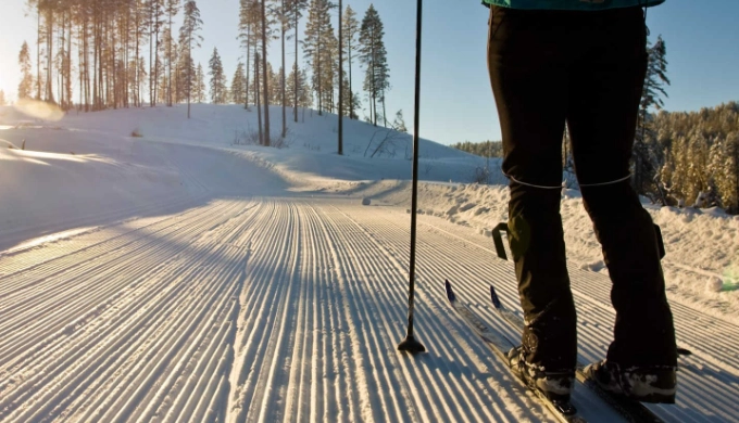 difference between telemark and cross country skiing