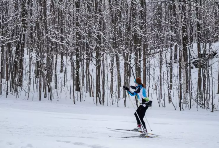 telemark skiing vs cross country