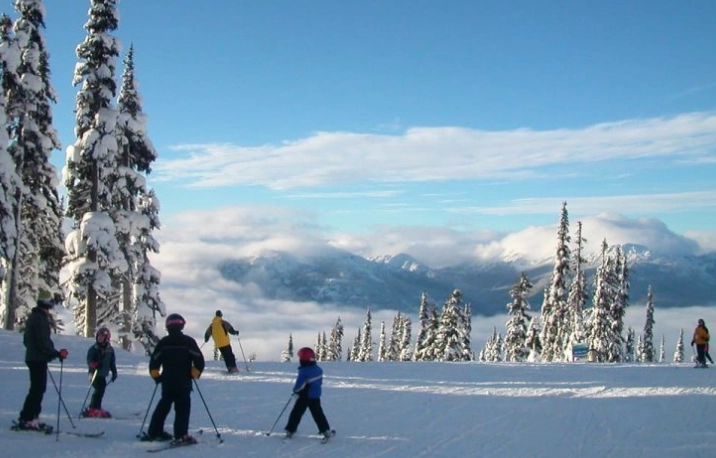 ski touring vs telemark ski touring vs telemark