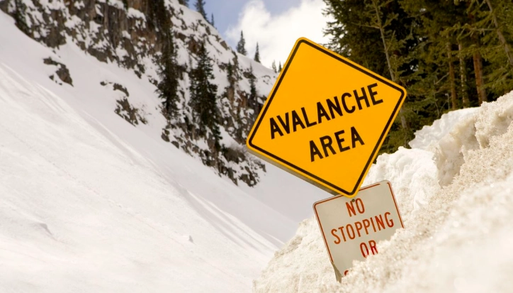 avalanche safety training