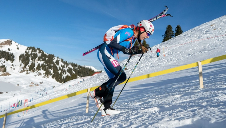 alpine skiing competitions alpine skiing competitions