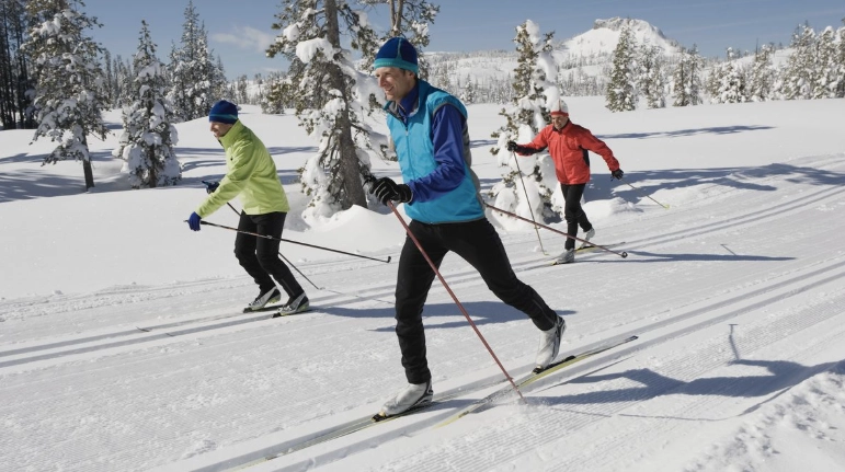 alpine vs nordic skiing alpine vs nordic skiing
