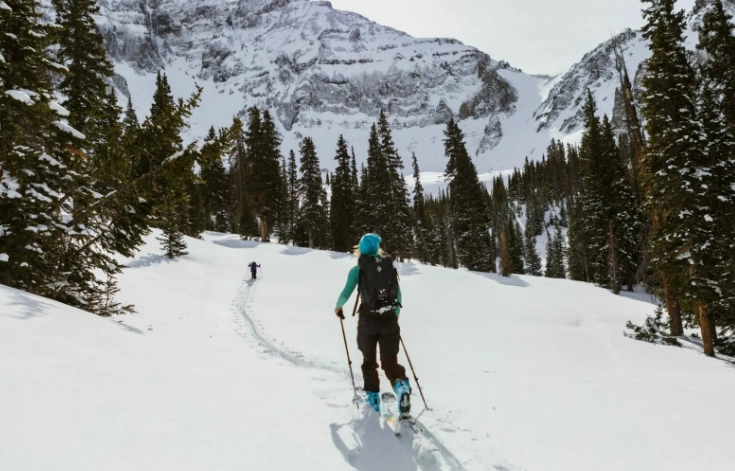 backcountry skis