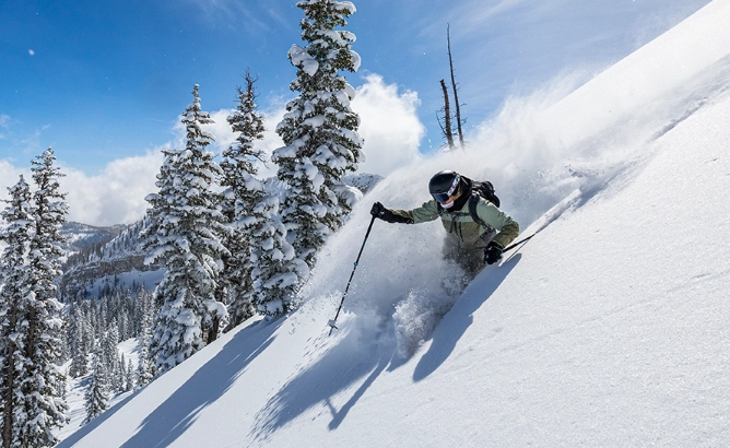 all mountain vs freeride skis