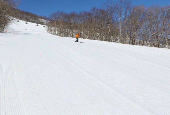 how to carve on skis