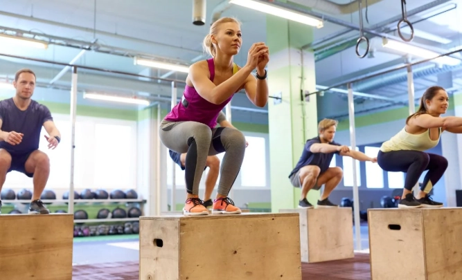 dryland ski training