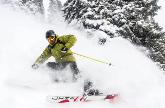 ski stopping techniques