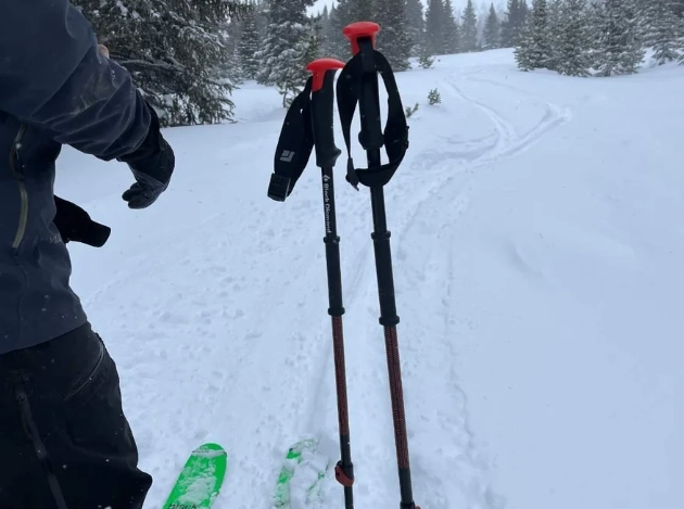 ski pole length guide ski pole length guide