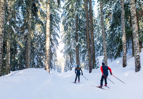 ski resort activities for non-skiers