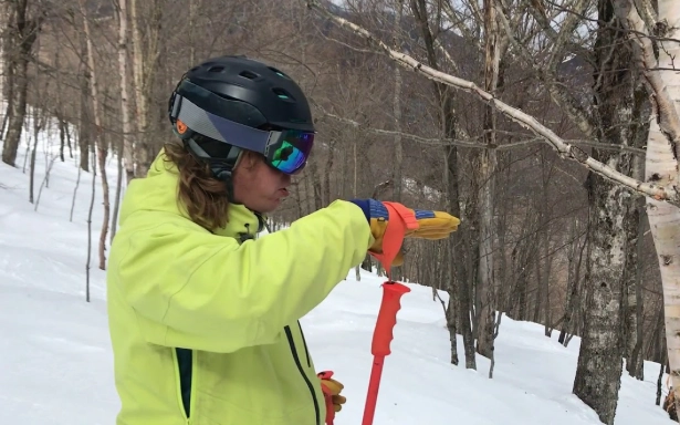 powder skiing in trees