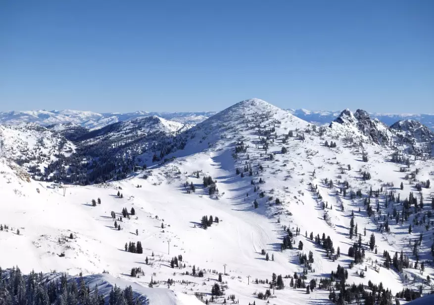 Snowbird lift tickets