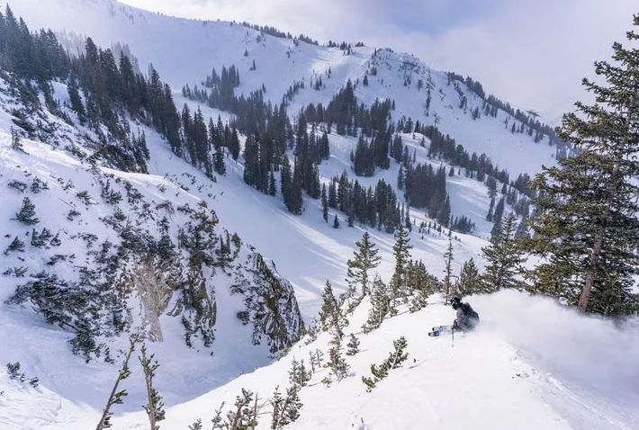 resorts near Snowbird Utah