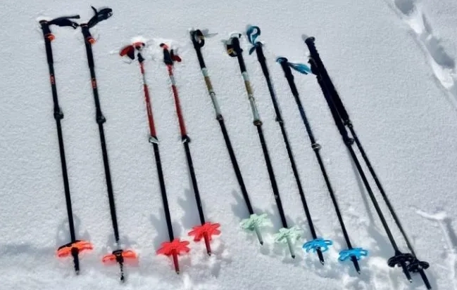 alpine ski poles